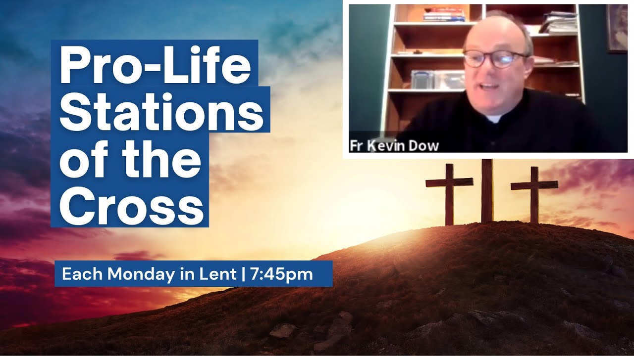 Pro-Life Stations of the Cross - Reflection
