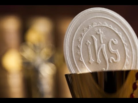 Holy Mass for Sunday, 8th November celebrated by Archbishop Leo Cushley.