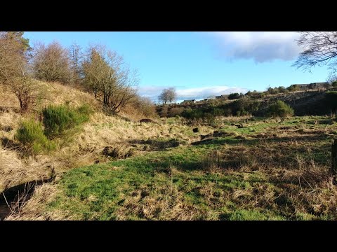 Skolie Burn Community Meadow & Woodland SCIO SC049555