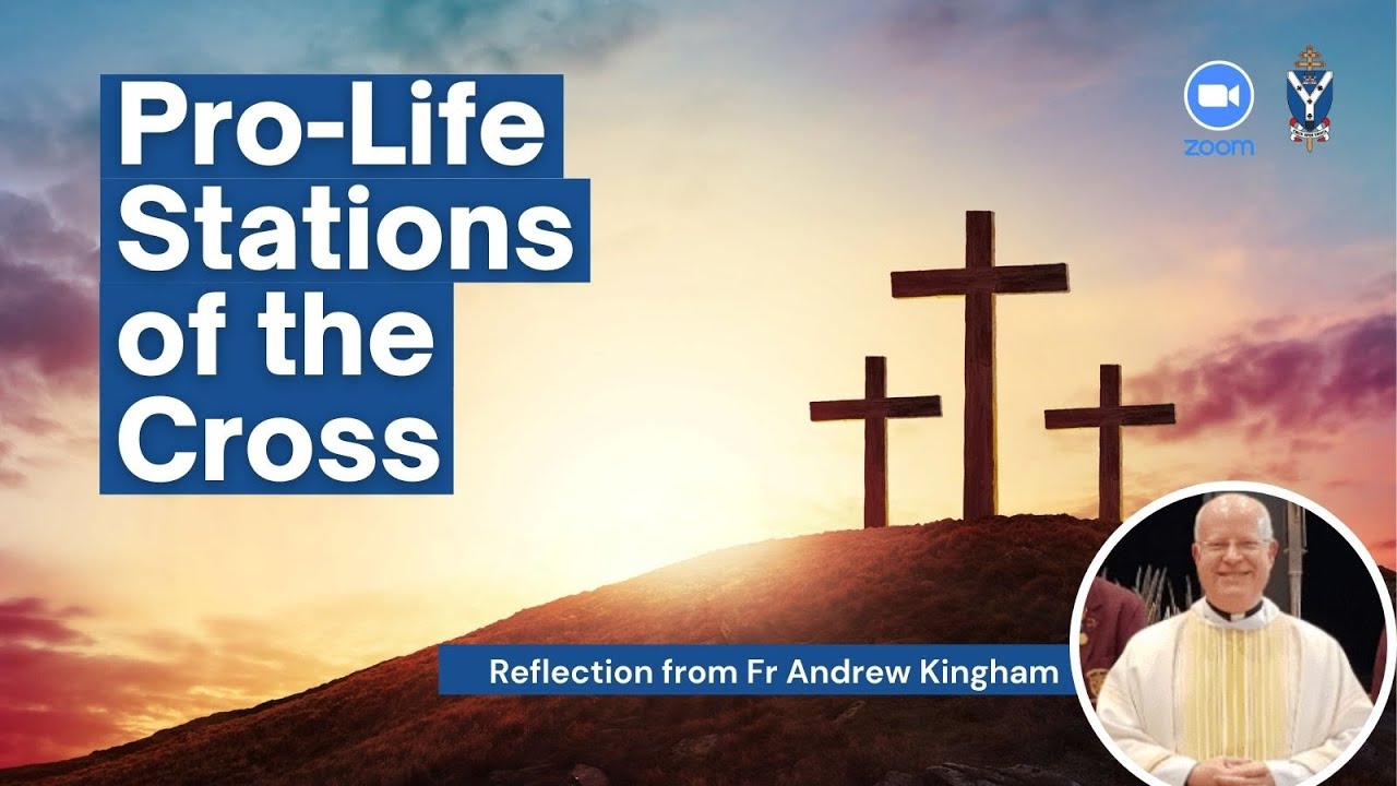 Pro-Life Stations of the Cross - Reflection