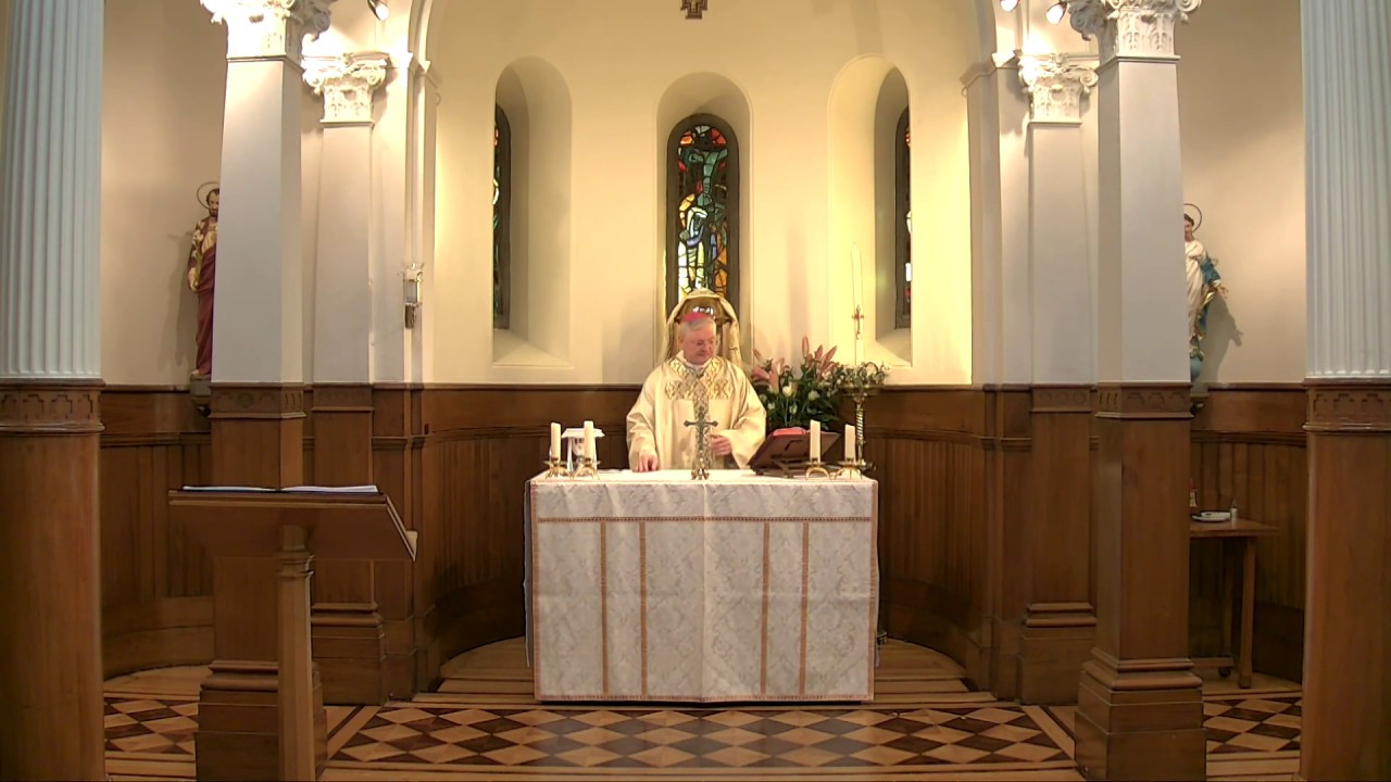 Easter Vigil in the Holy Night 11/04/20